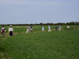 The group on footpath Huttoft 14.